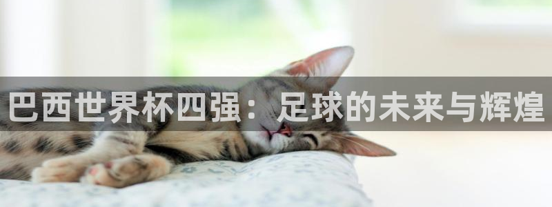 世界杯赛程时间表:巴西世界杯四强:足球的未来与辉煌