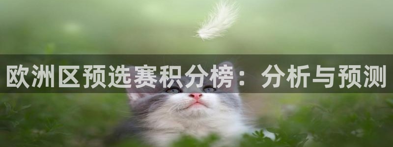 世界杯官网:欧洲区预选赛积分榜:分析与预测