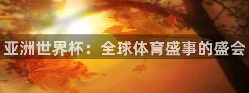 世界杯附加赛赛程表:亚洲世界杯:全球体育盛事的盛会