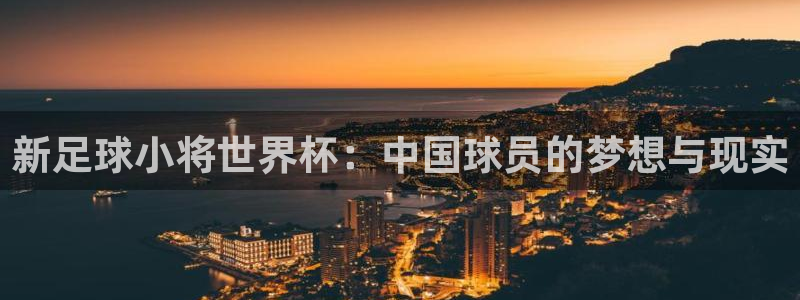 世界杯对阵图2026:新足球小将世界杯:中国球员的梦想与现实
