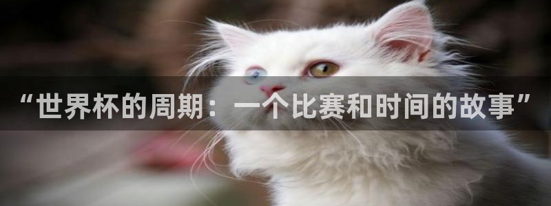 2026世界杯预选赛:“世界杯的周期:一个比赛和时间的故事”