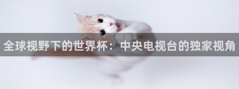 世预赛免费直播入口:全球视野下的世界杯:中央电视台的独家视角