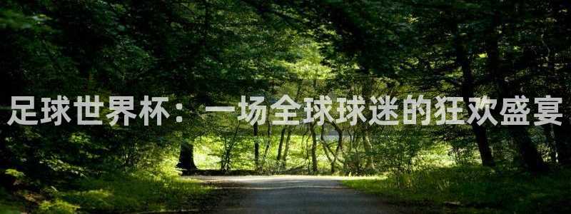 世界杯欧洲区赛程:足球世界杯:一场全球球迷的狂欢盛宴